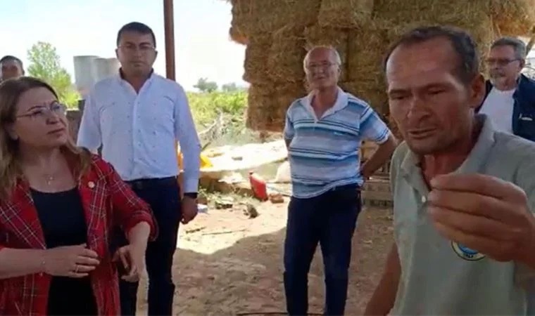 Denizlili besici: 'Saman alacak param yok, bu hayvanlar aç'