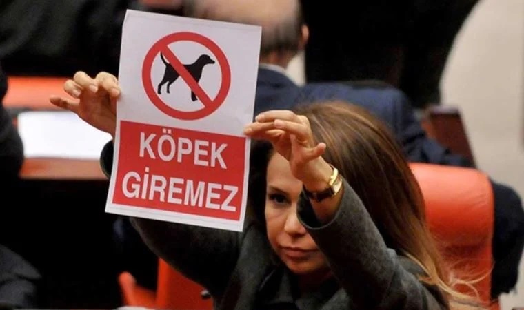 Meclis'e 'köpek giremez' afişiyle gelen AKP'li Enç, Soylu'nun danışmanlığına getirildi