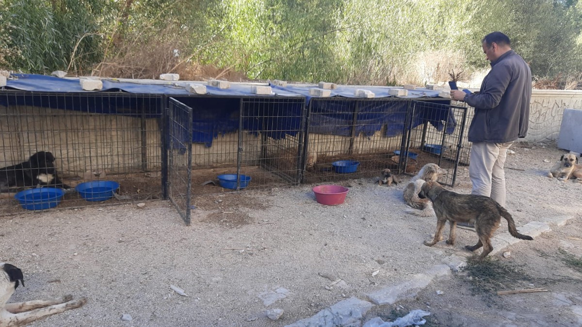 Bozkır'daki hayvan barınağı perişan durumda! Hukukçular ve hayvanseverler harekete geçti...