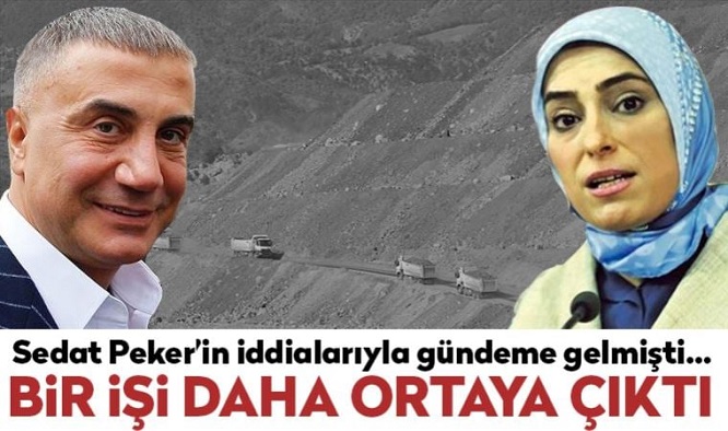 AKP'li Zehra Taşkesenlioğlu, Afrika'da bakır madeni işletiyormuş