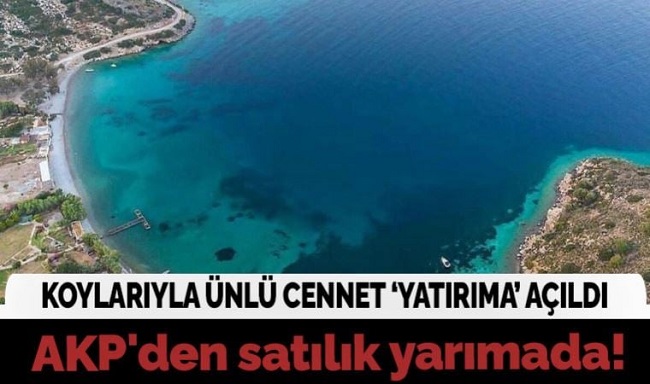 Bakir koylarıyla ünlü turizm cennetinde ormanların içindeki bir yarımadayı satıyorlar