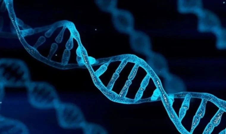 Bilim insanlarından önemli keşif: Genleri tespit edildi