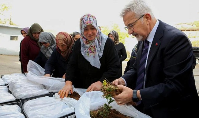 Bir fide ile hayatları değişti